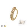 12PCS OF MULTI CZ DOUBLE LINE 316L SURGICAL STEEL HOOP NOSE RING BOX